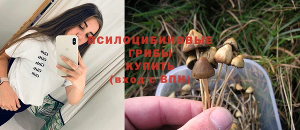 ГАЛЛЮЦИНОГЕННЫЕ ГРИБЫ Няндома