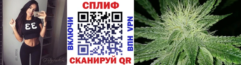 Бошки Шишки VHQ  Багратионовск 